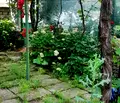 Снимка 5 — Къща в Пазарджик, с. Алеко Константиново