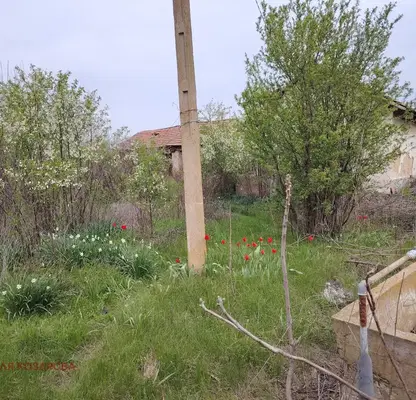 Photo 5 — House in Oblast Pleven, с. Байкал