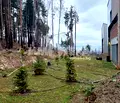 Снимка 2 — Къща в с. Бистрица