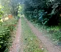 Снимка 3 — Къща в Перник, с. Чуйпетлово