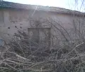 Снимка 4 — Къща в Русе, с. Екзарх Йосиф