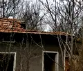 Снимка 3 — Къща в Плевен, с. Горни Дъбник
