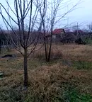 Къща в с. Изворище