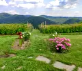 Снимка 2 — Къща в с. Железница