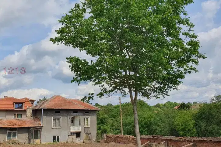 House in Pleven, Koilovci