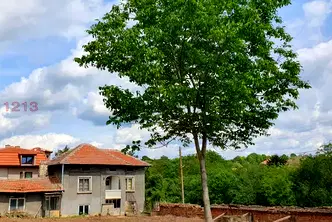 Къща в Плевен, с. Коиловци