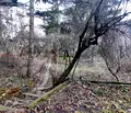 Снимка 2 — Къща в с. Кокаляне