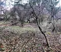 Снимка 3 — Къща в с. Кокаляне