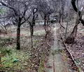Снимка 5 — Къща в с. Кокаляне