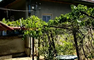 Къща в Монтана, с. Комощица