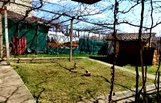 Къща в Кюстендил, с. Коняво
