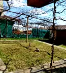 Къща в Кюстендил, с. Коняво