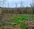 Снимка 4 — Къща в Добрич, с. Котленци