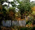 Снимка 4 — Къща в Добрич, с. Крушари