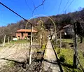 Снимка 5 — Къща в Плевен, с. Ласкар
