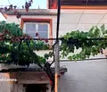 Снимка 3 — Къща в Стара Загора, с. Лозен