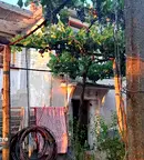 Къща в Стара Загора, с. Лозен