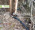 Снимка 3 — Къща в София, с. Макоцево