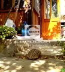 Къща в Стара Загора, с. Малка Верея