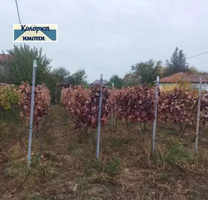 Снимка 5 — Къща в Стара Загора, с. Памукчии