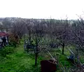 Снимка 2 — Къща в Плевен, с. Радишево
