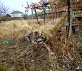 Снимка 3 — Къща в Пловдив, с. Ръжево Конаре