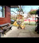 Къща във Варна, с. Шкорпиловци