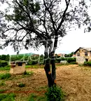 Къща в Стара Загора, с. Сладък кладенец