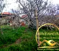 Снимка 4 — Къща в Хасково, с. Сталево
