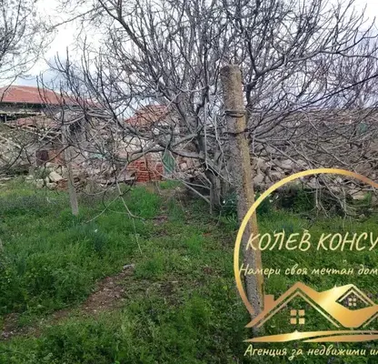 Снимка 4 — Къща в Хасково, с. Сталево