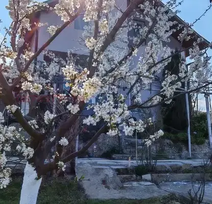 Photo 5 — House in Oblast Kyustendil, Stob
