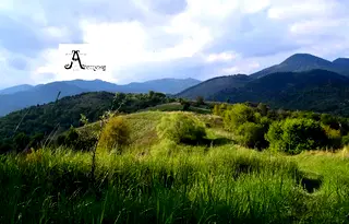 Къща в Смолян, с. Турян