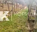 Снимка 5 — Къща в София, с. Владо Тричков