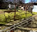 Снимка 5 — Къща в Стара Загора, с. Ягода