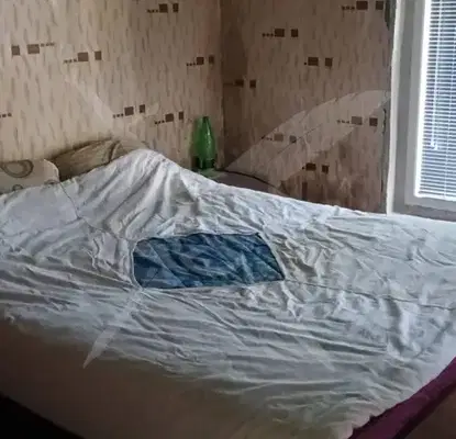 Снимка 4 — Къща в Пловдив, с. Ясно поле