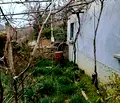 Снимка 3 — Къща в Габрово, с. Здравковец