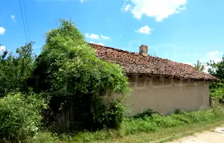 Къща в Шумен, Макак
