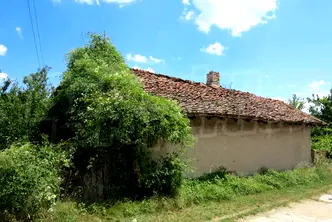 Къща в Шумен, Макак