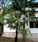 Къща в София, Драгалевци