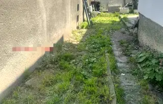 Къща в София, Орландовци