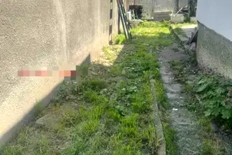Къща в София, Орландовци