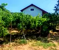Снимка 3 — Къща в Стара Загора, м-т Беш Бунар