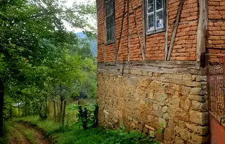 Къща в Ловеч, Троян
