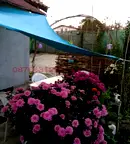 Къща във Варна, м-т Добрева чешма