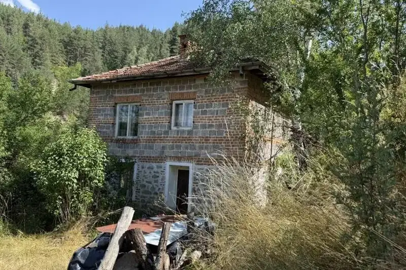 Къща в Пазарджик, Велин