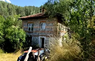 Къща в Пазарджик, Велин