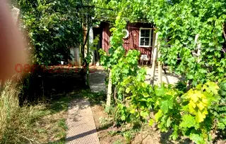Къща във Варна, Вълчи дол