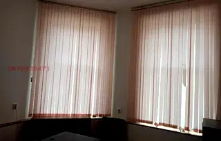 Офис в София, Елин Пелин