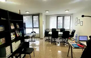 Офис в София, Белите брези