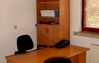 Офис в София, Белите брези